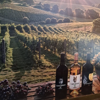 Captura de pantalla 2025-09-11 174543